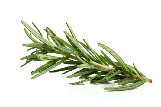 The Power of Rosemary: Unlocking the Secrets to Healthy Hair Growth